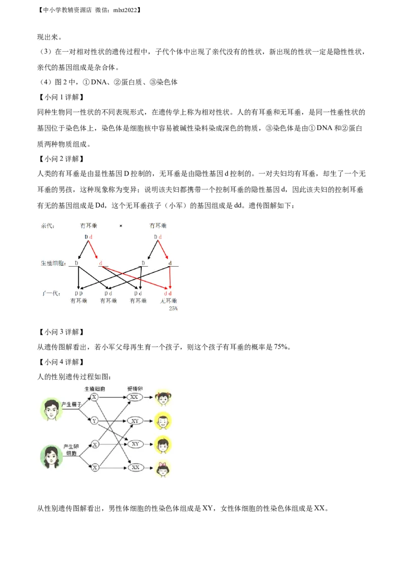 精品解析：2022年辽宁省大连市中考生物真题（解析版）_中考真题_8.生物中考真题2015-2024年_2022年全国中考生物114份14