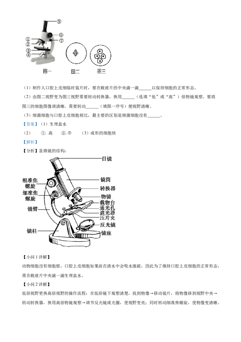 精品解析：2022年湖南省湘西州中考生物真题（解析版）_中考真题_8.生物中考真题2015-2024年_地区卷_湖南省_湘西生物（只有2022