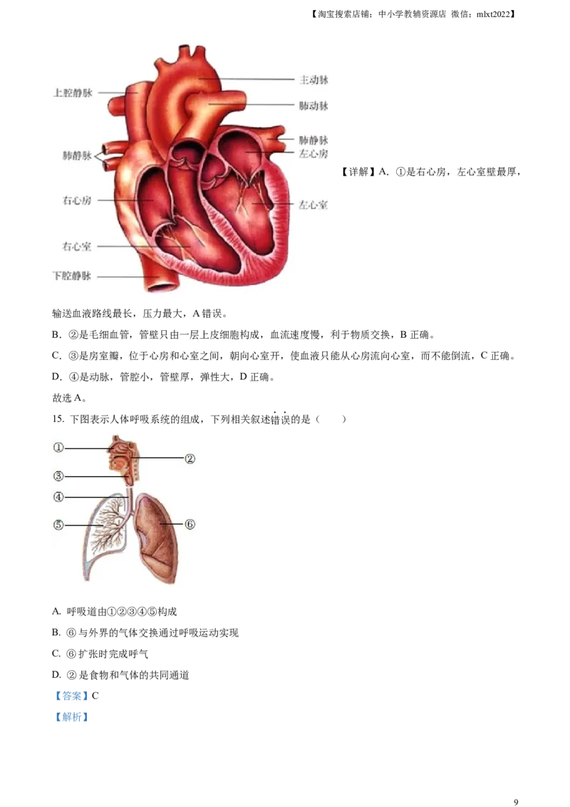 精品解析：2023年四川省广安市中考生物真题（解析版）_中考真题_8.生物中考真题2015-2024年_2023年全国中考生物7.20_精品解析：2023年四川省广安市中考生物真题