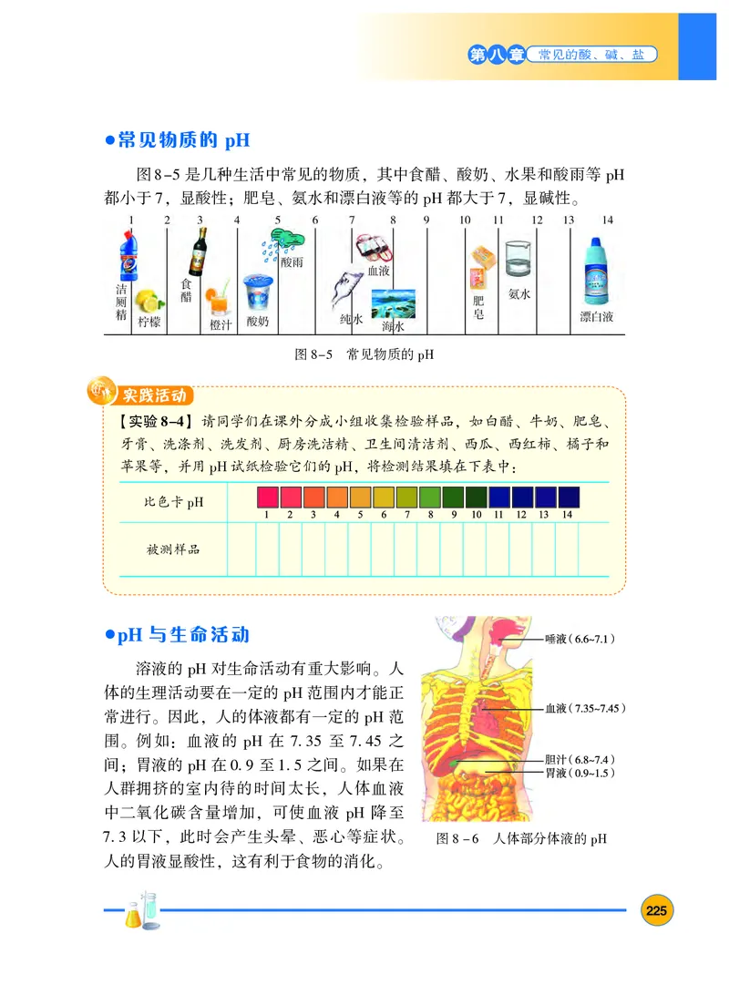 粤教版9年级化学下册高清教材_4-教培资料-26年最新资料-同步更新_初中高中教资_03科三专项（进去保存报考的学科即可）_02科三专项（笔记真题思维导图教学设计版本二）