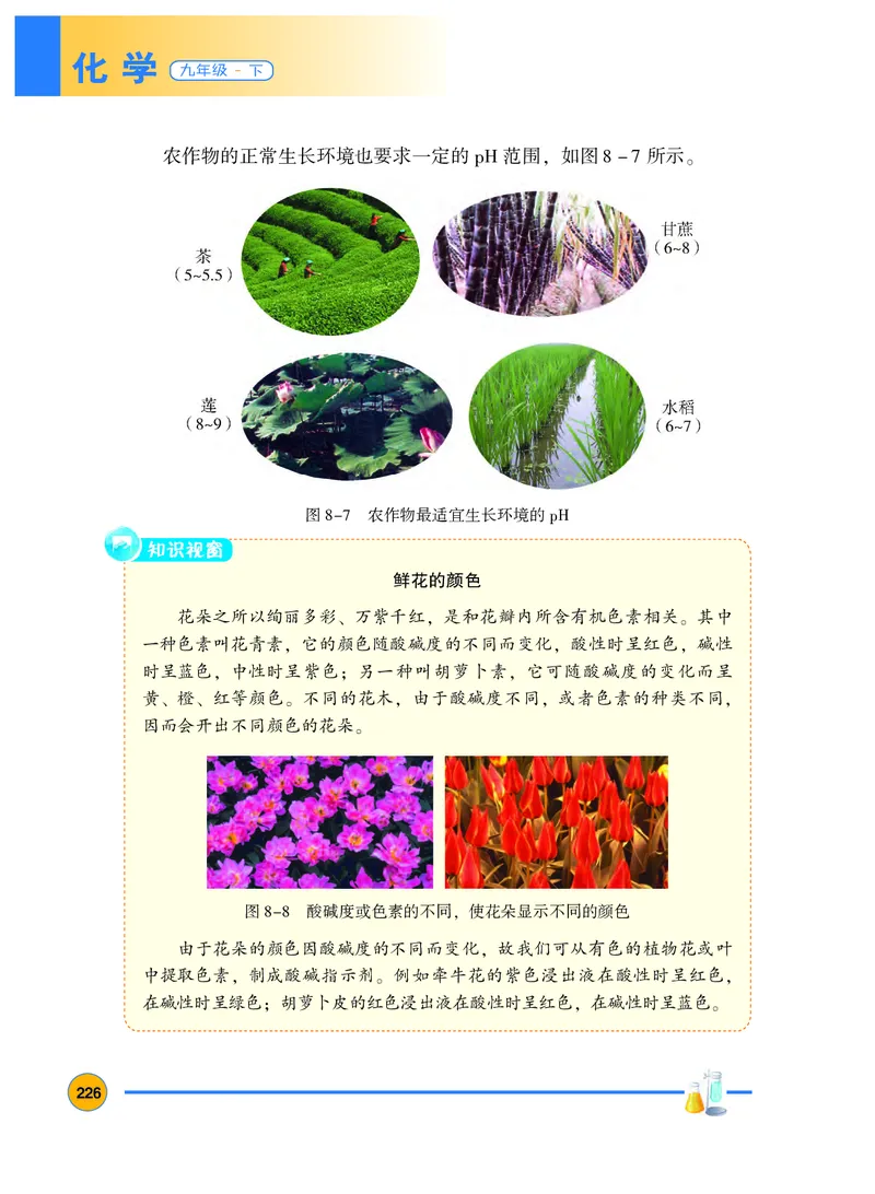 粤教版9年级化学下册高清教材_4-教培资料-26年最新资料-同步更新_初中高中教资_03科三专项（进去保存报考的学科即可）_02科三专项（笔记真题思维导图教学设计版本二）