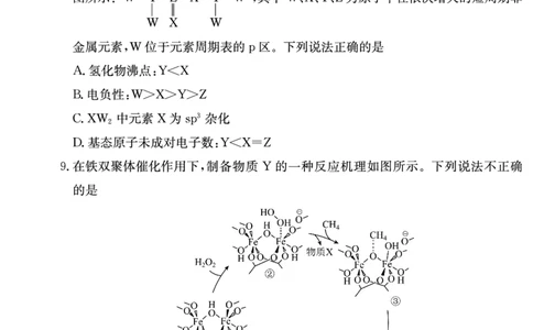 化学试卷（雅礼4次）1_2024届湖南省长沙市雅礼中学月考试卷（四）_湖南省2024届长沙市雅礼中学月考试卷（四）化学