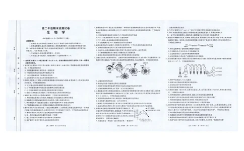 生物高二生物_2025年7月_250719云南省临沧市部分学校2024-2025学年高二下学期期末质量测试_云南省临沧市部分学校2024-2025学年高二下学期期末质量测试生物试题（图片版，含答案）
