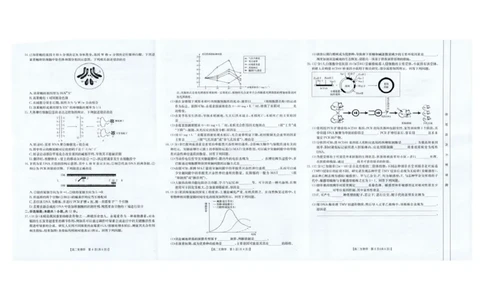 生物高二生物_2025年7月_250719云南省临沧市部分学校2024-2025学年高二下学期期末质量测试_云南省临沧市部分学校2024-2025学年高二下学期期末质量测试生物试题（图片版，含答案）