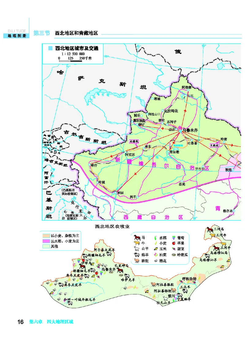 科普版8年级地理下册地理图册_4-教培资料-26年最新资料-同步更新_初中高中教资_03科三专项（进去保存报考的学科即可）_02科三专项（笔记真题思维导图教学设计版本二）