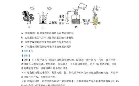 精品解析：2022年四川省德阳市中考生物真题（解析版）_中考真题_8.生物中考真题2015-2024年_2022年全国中考生物114份14