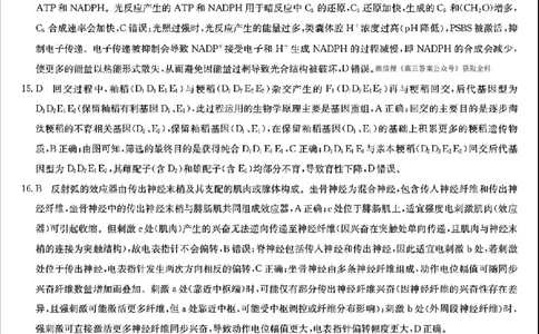 生物答案_2025年12月_2512022026九师联盟高三11月质量检测（全科）_2026九师联盟高三11月质量检测生物试题（含答案）