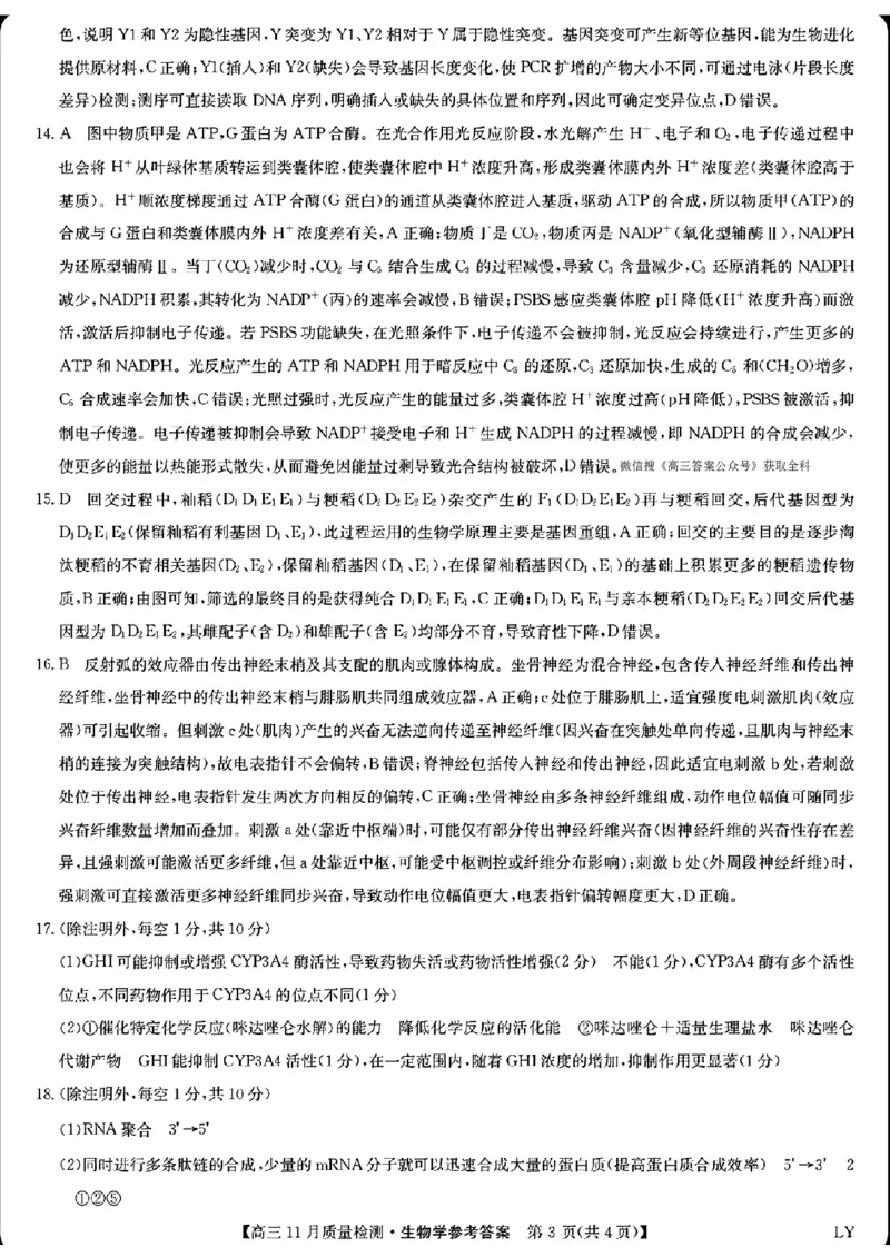 生物答案_2025年12月_2512022026九师联盟高三11月质量检测（全科）_2026九师联盟高三11月质量检测生物试题（含答案）