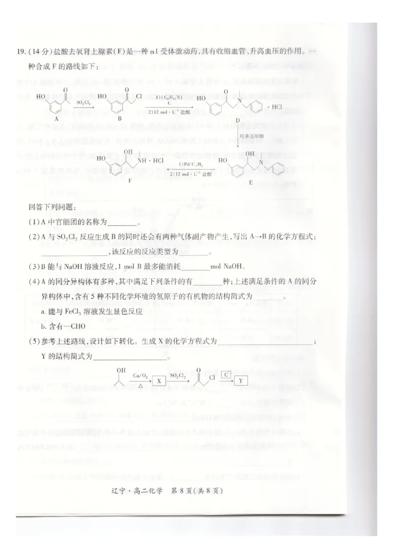 辽宁省重点高中联合体2024-2025学年下学期高二期末考试化学试卷（含答案）_2025年7月_250721辽宁省重点高中联合体2024-2025学年高二下学期期末考试（全科）