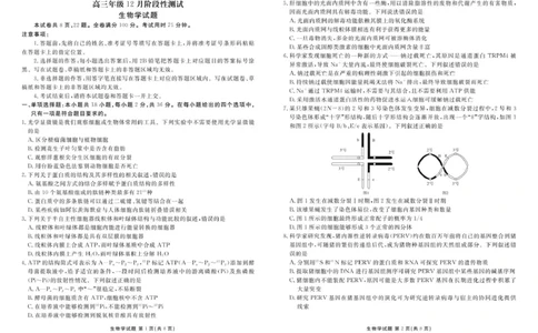生物试卷_2025年12月_251220湖北省衡水金卷2026届高三年级上学期12月阶段性测试（全科）_湖北省衡水金卷2026届高三上学期12月阶段性测试生物试卷（含答案）