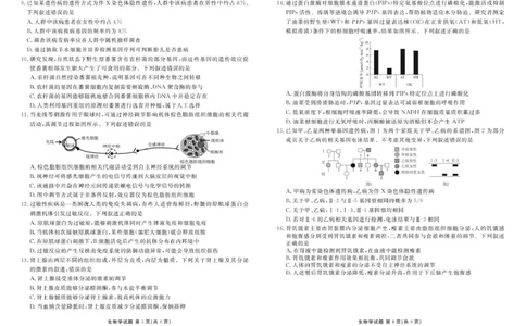 生物试卷_2025年12月_251220湖北省衡水金卷2026届高三年级上学期12月阶段性测试（全科）_湖北省衡水金卷2026届高三上学期12月阶段性测试生物试卷（含答案）