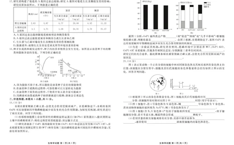生物试卷_2025年12月_251220湖北省衡水金卷2026届高三年级上学期12月阶段性测试（全科）_湖北省衡水金卷2026届高三上学期12月阶段性测试生物试卷（含答案）