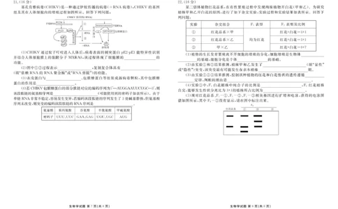生物试卷_2025年12月_251220湖北省衡水金卷2026届高三年级上学期12月阶段性测试（全科）_湖北省衡水金卷2026届高三上学期12月阶段性测试生物试卷（含答案）