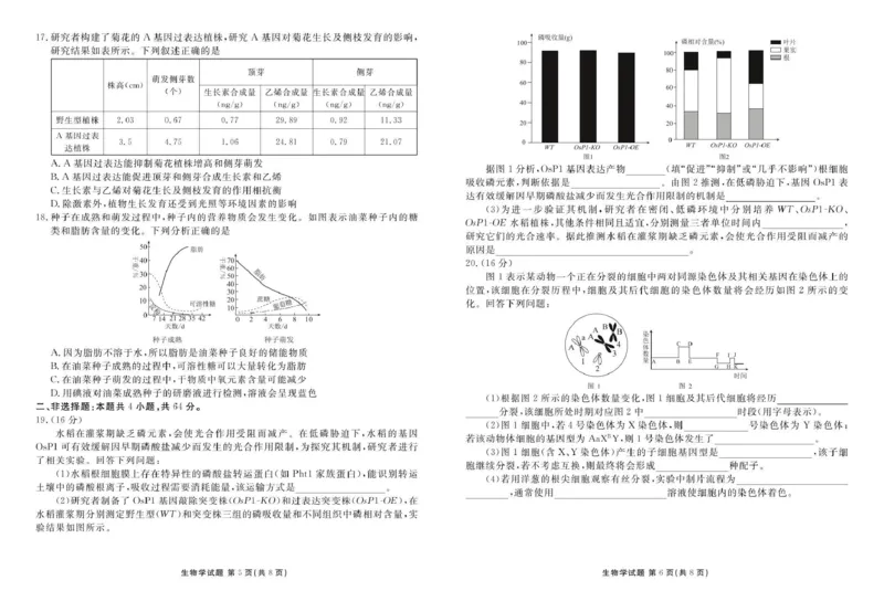 生物试卷_2025年12月_251220湖北省衡水金卷2026届高三年级上学期12月阶段性测试（全科）_湖北省衡水金卷2026届高三上学期12月阶段性测试生物试卷（含答案）