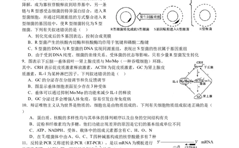 生物试卷_2024届重庆市乌江新高考协作体高三上学期第一次联合调研抽测（一模）_2024届重庆市乌江新高考协作体高三上学期第一次联合调研抽测（一模）生物
