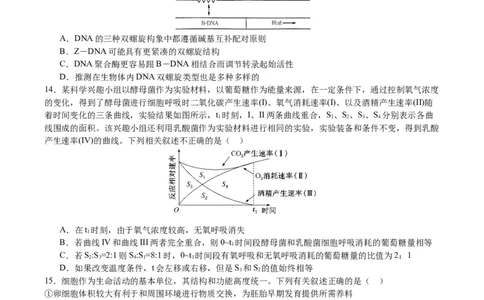 生物试卷_2024届重庆市乌江新高考协作体高三上学期第一次联合调研抽测（一模）_2024届重庆市乌江新高考协作体高三上学期第一次联合调研抽测（一模）生物
