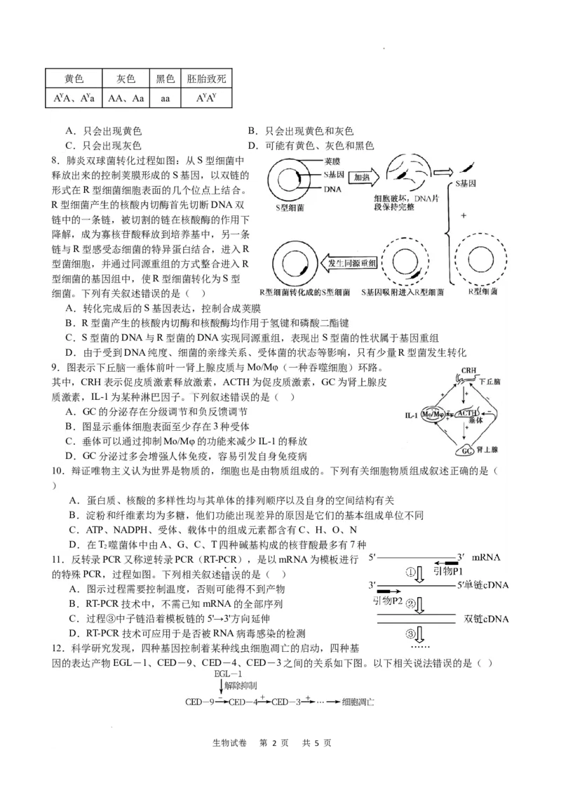 生物试卷_2024届重庆市乌江新高考协作体高三上学期第一次联合调研抽测（一模）_2024届重庆市乌江新高考协作体高三上学期第一次联合调研抽测（一模）生物