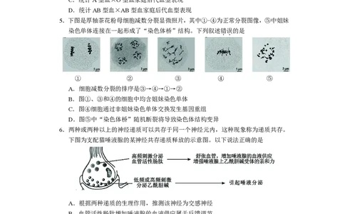 生物试卷长沙市2024年新高考适应性考试_2024届湖南省长沙市高三上学期新高考适应性考试_2024届湖南省长沙市高三上学期新高考适应性考试生物