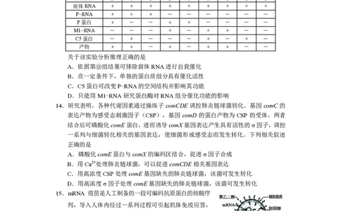 生物试卷长沙市2024年新高考适应性考试_2024届湖南省长沙市高三上学期新高考适应性考试_2024届湖南省长沙市高三上学期新高考适应性考试生物