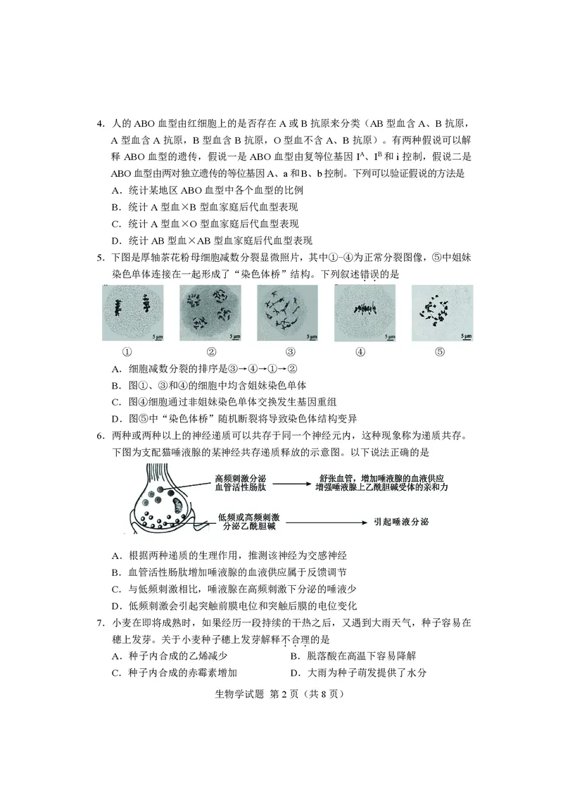 生物试卷长沙市2024年新高考适应性考试_2024届湖南省长沙市高三上学期新高考适应性考试_2024届湖南省长沙市高三上学期新高考适应性考试生物