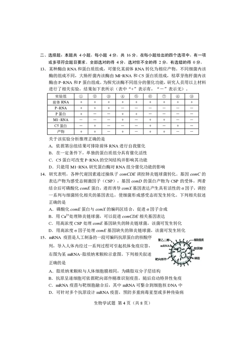 生物试卷长沙市2024年新高考适应性考试_2024届湖南省长沙市高三上学期新高考适应性考试_2024届湖南省长沙市高三上学期新高考适应性考试生物