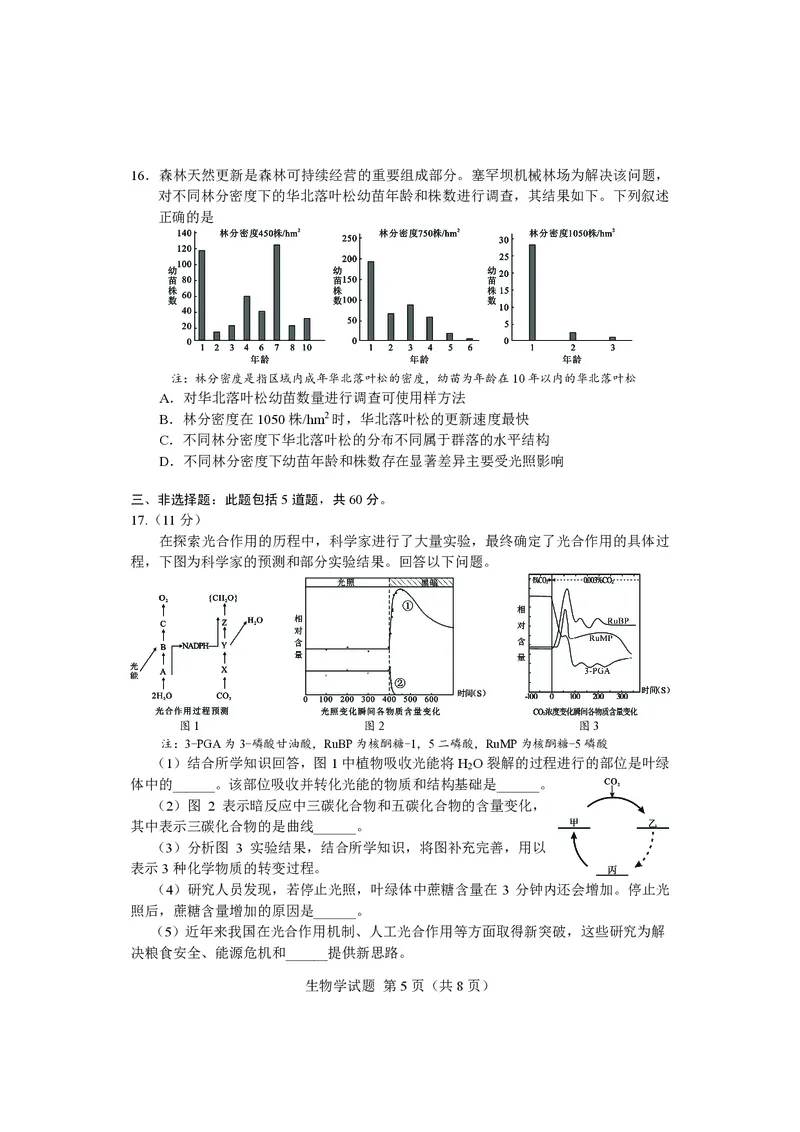 生物试卷长沙市2024年新高考适应性考试_2024届湖南省长沙市高三上学期新高考适应性考试_2024届湖南省长沙市高三上学期新高考适应性考试生物