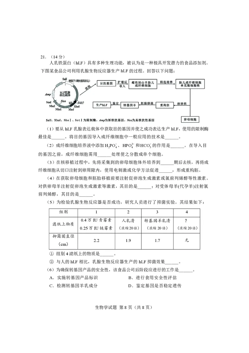 生物试卷长沙市2024年新高考适应性考试_2024届湖南省长沙市高三上学期新高考适应性考试_2024届湖南省长沙市高三上学期新高考适应性考试生物