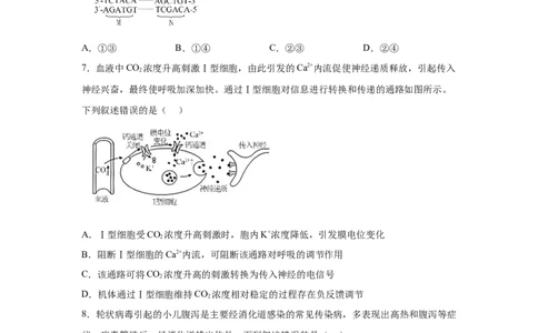 河北2025年高考河北卷生物高考真题文档版_1.高考2025全国各省真题+答案_9.高考生物真题答案更新中
