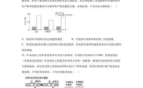 河北2025年高考河北卷生物高考真题文档版_1.高考2025全国各省真题+答案_9.高考生物真题答案更新中