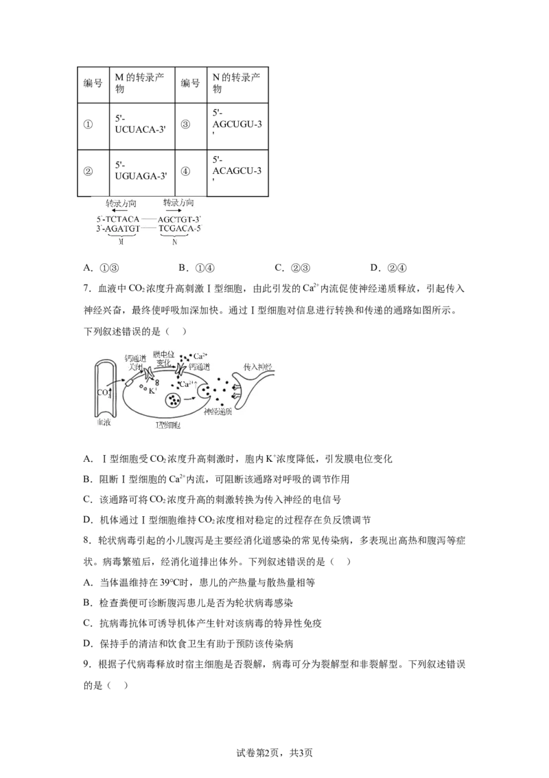 河北2025年高考河北卷生物高考真题文档版_1.高考2025全国各省真题+答案_9.高考生物真题答案更新中