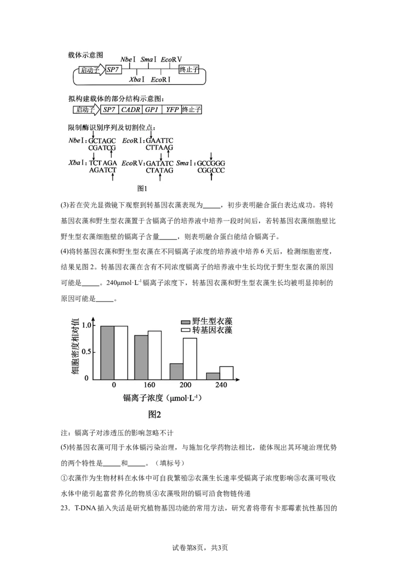 河北2025年高考河北卷生物高考真题文档版_1.高考2025全国各省真题+答案_9.高考生物真题答案更新中