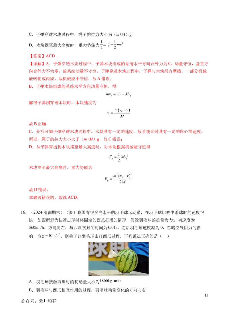 专题13动量和动量守恒定律（新高考通用）（解析版）(1)_1多考区联考_0109好题汇编备战2024-2025学年高二物理上学期期末真题分类汇编（新高考通用）