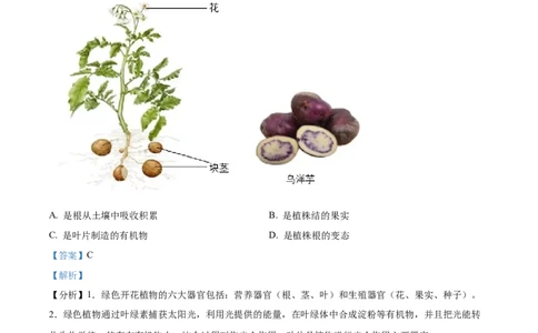 精品解析：2023年四川省凉山彝族自治州中考生物真题（解析版）(1)_中考真题_8.生物中考真题2015-2024年_2023年全国中考生物7.20_精品解析：2023年四川省凉山彝族自治州中考生物真题