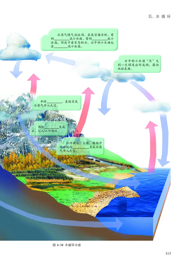 苏科版8年级物理上册高清教材_4-教培资料-26年最新资料-同步更新_初中高中教资_03科三专项（进去保存报考的学科即可）_02科三专项（笔记真题思维导图教学设计版本二）