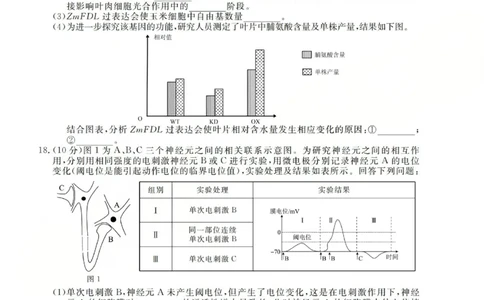 高三生物试题(已优化)_2025年12月_251225三重教育2025-2026学年高三西北四省12月高考适应性考试（全科）