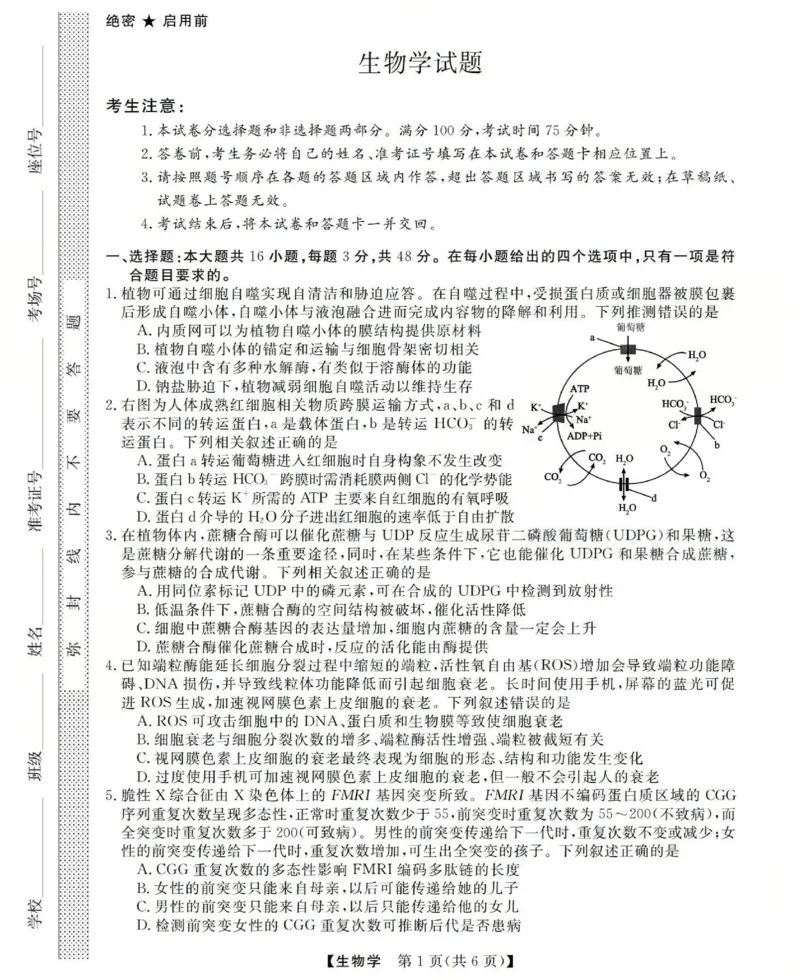 高三生物试题(已优化)_2025年12月_251225三重教育2025-2026学年高三西北四省12月高考适应性考试（全科）