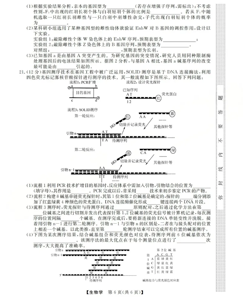 高三生物试题(已优化)_2025年12月_251225三重教育2025-2026学年高三西北四省12月高考适应性考试（全科）