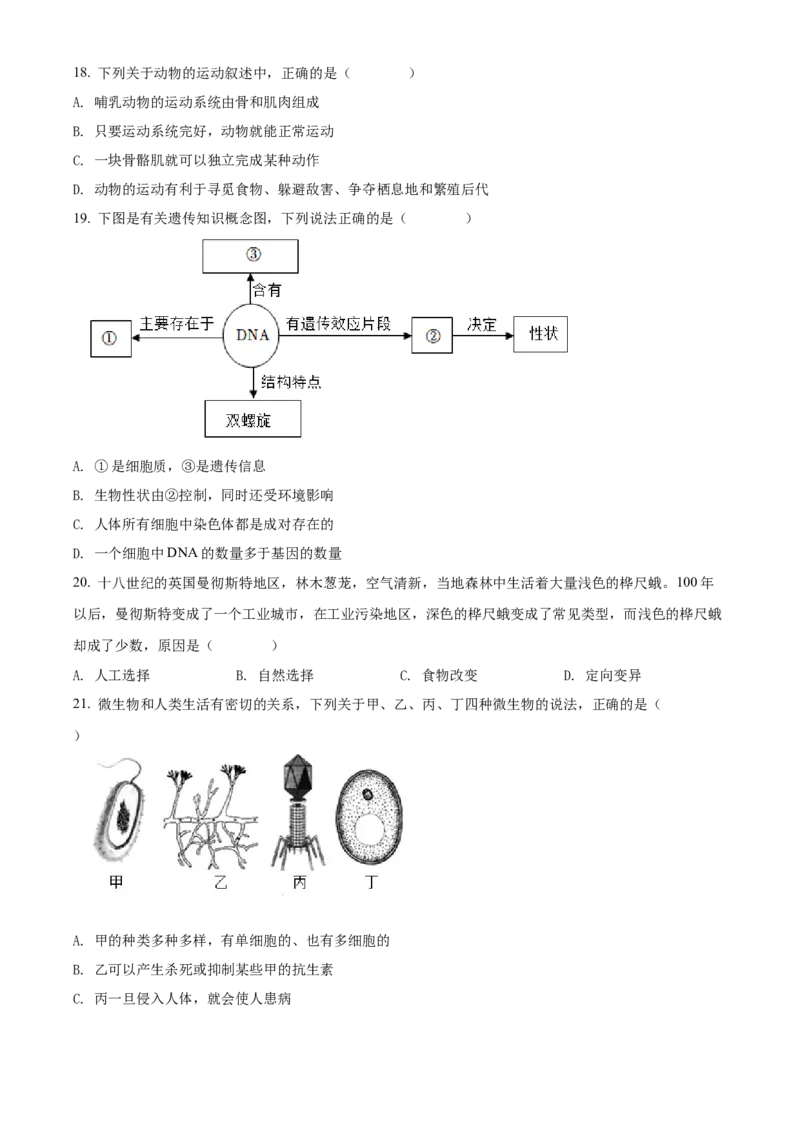 精品解析：2022年湖南省邵阳市中考生物真题（原卷版）_中考真题_8.生物中考真题2015-2024年_2022年全国中考生物114份14