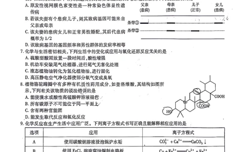 理综-天一大联考顶尖联盟2024届高三阶段性测试(二)（老教材版）_2024届天一大联考顶尖联盟高三阶段性测试(二)（老教材版）