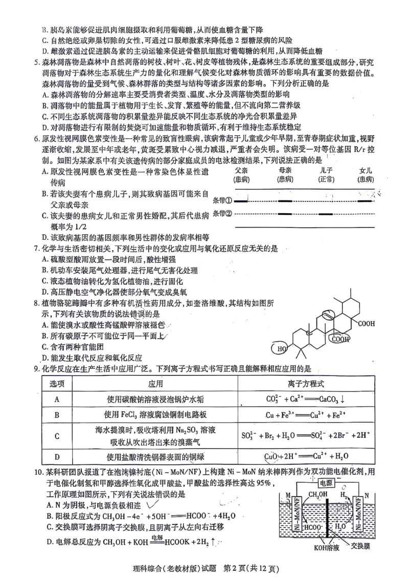 理综-天一大联考顶尖联盟2024届高三阶段性测试(二)（老教材版）_2024届天一大联考顶尖联盟高三阶段性测试(二)（老教材版）