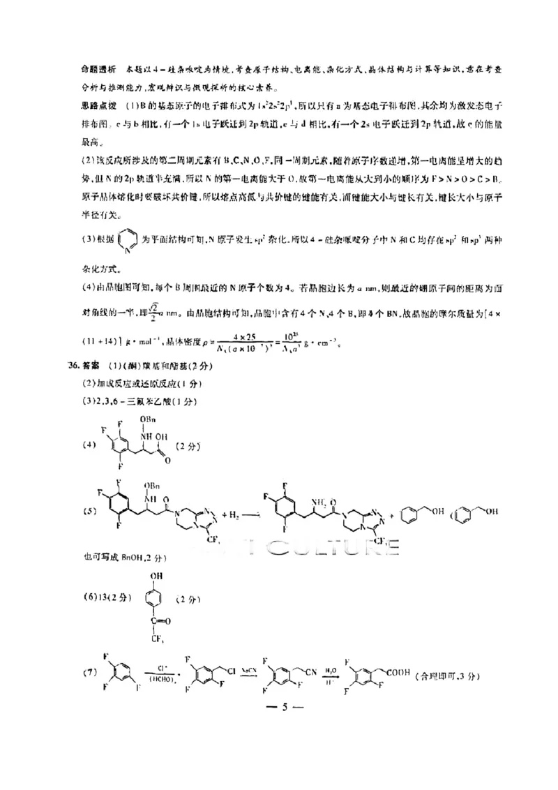 理综-天一大联考顶尖联盟2024届高三阶段性测试(二)（老教材版）_2024届天一大联考顶尖联盟高三阶段性测试(二)（老教材版）