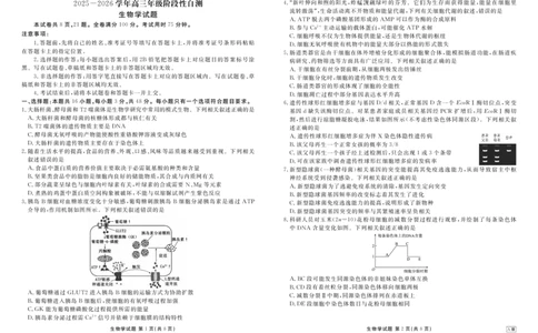 贵州省衡水金卷2026届高三上学期12月阶段性自测生物_2025年12月_251231贵州省衡水金卷2026届高三上学期12月阶段性自测（全科）
