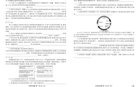 贵州省衡水金卷2026届高三上学期12月阶段性自测生物_2025年12月_251231贵州省衡水金卷2026届高三上学期12月阶段性自测（全科）