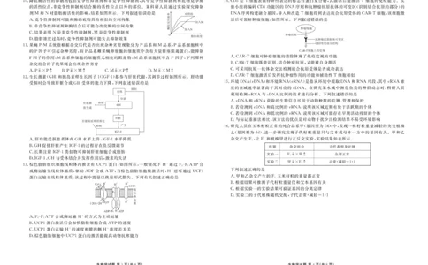 高三12月生物正文_2025年12月_251224广东省衡水金卷2025-2026学年高三上学期12月联考（全科）_广东省衡水金卷2025-2026学年高三上学期12月月考生物试题（含答案）