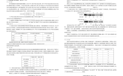 高三12月生物正文_2025年12月_251224广东省衡水金卷2025-2026学年高三上学期12月联考（全科）_广东省衡水金卷2025-2026学年高三上学期12月月考生物试题（含答案）