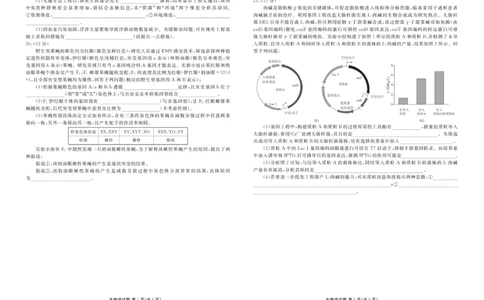 高三12月生物正文_2025年12月_251224广东省衡水金卷2025-2026学年高三上学期12月联考（全科）_广东省衡水金卷2025-2026学年高三上学期12月月考生物试题（含答案）