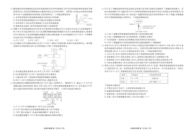 高三12月生物正文_2025年12月_251224广东省衡水金卷2025-2026学年高三上学期12月联考（全科）_广东省衡水金卷2025-2026学年高三上学期12月月考生物试题（含答案）