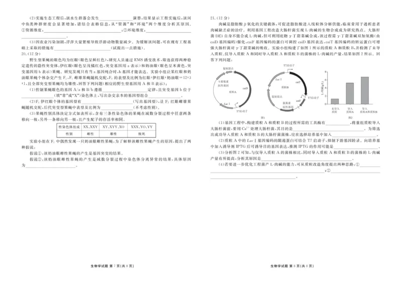 高三12月生物正文_2025年12月_251224广东省衡水金卷2025-2026学年高三上学期12月联考（全科）_广东省衡水金卷2025-2026学年高三上学期12月月考生物试题（含答案）