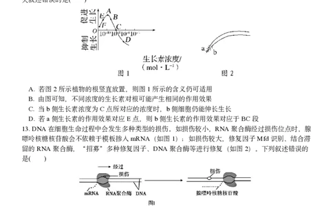 生物试题｜2506温州十校期末联考_2025年6月_250627浙江省2024学年第二学期温州十校联合体高二期末联考（全科）