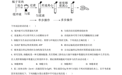 2025高考云南卷生物真题_1.高考2025全国各省真题+答案_00.2025各省市高考真题及答案（按省份分类）_18、云南卷（9科全）_生物